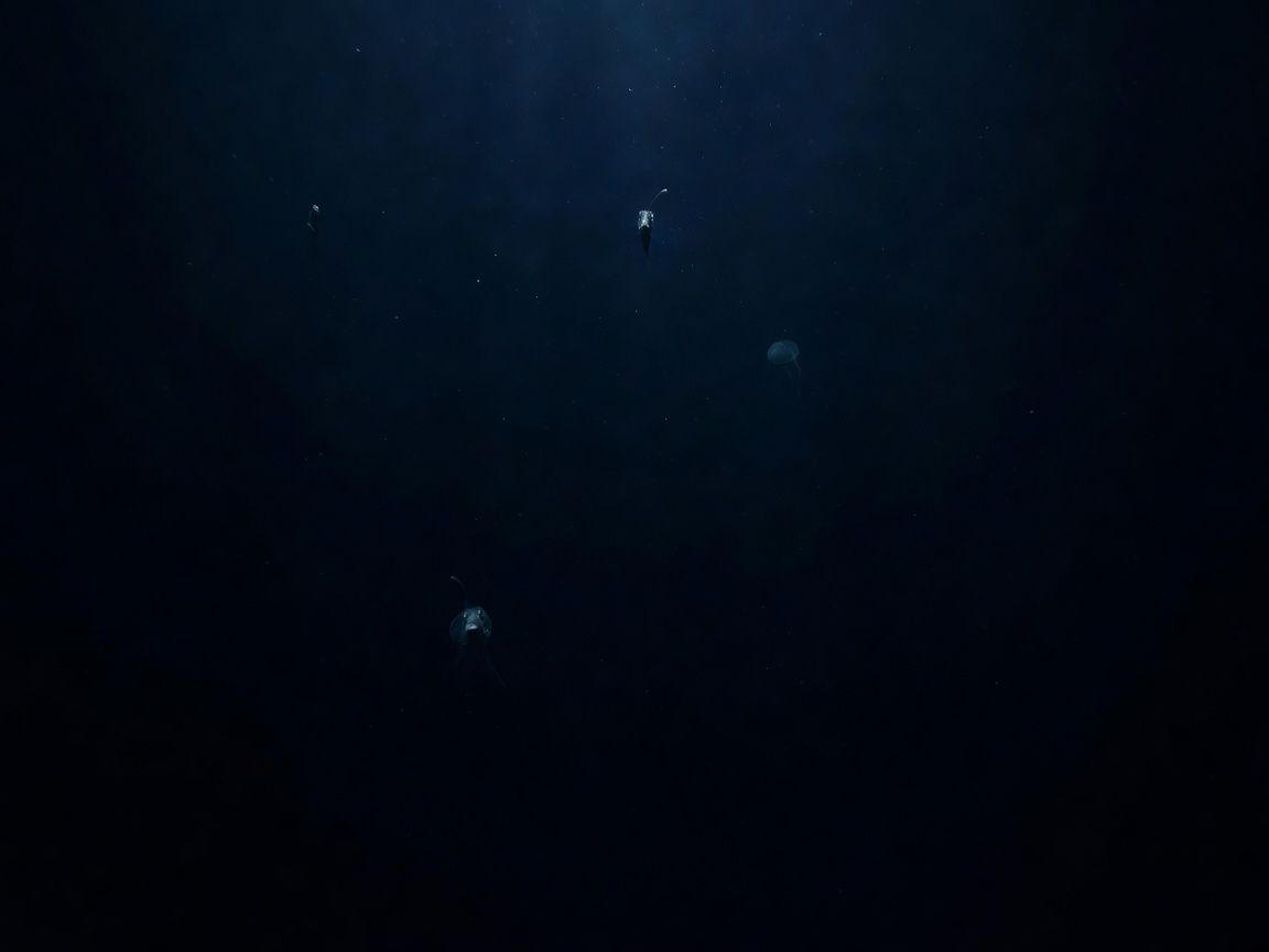 Dark deep ocean expanse representing the Philippine Sea